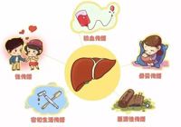 【健康科普】武宁县人民医院感染科：远离肝扰，保护小心肝