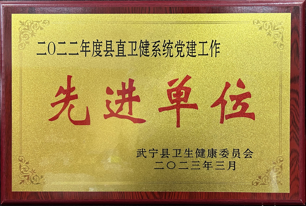 2022年度县直卫健系统党建工作先进单位