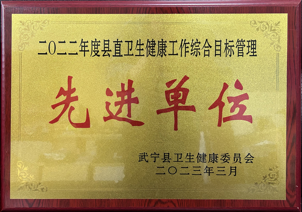2022年度县直卫生健康工作综合目标管理先进单位