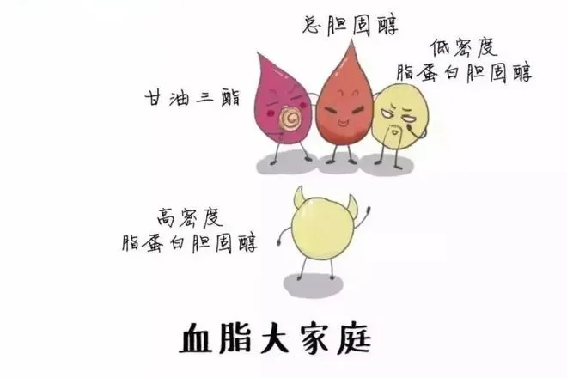 9fdc9b16cf1e4d2c8b3dc747bd756d11.png