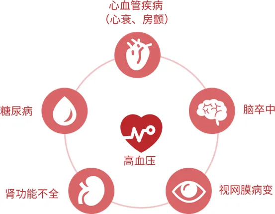 2b1f23a6c1ab4ff5a867c75b19f66f7b.png