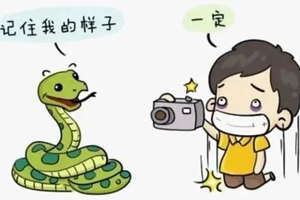 武宁县总医院人民医院院区毒蛇咬伤急救科普： 争分夺秒，科学应对，为生命赢得时间