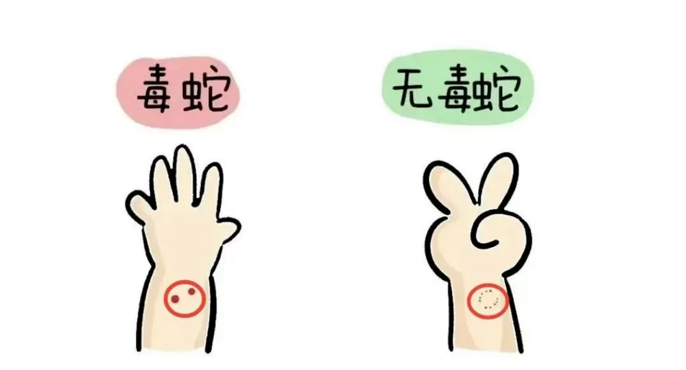 de086e6fa7cf486a871b2b85c2d11ad8.png