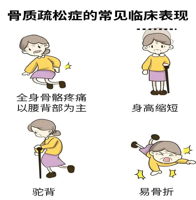 75bbff55fa3846a4b489d84da8207985.png