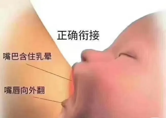 251a6e122b7e44d5860040354c24cfab.png