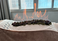 【新中式养生】中医传统疗法开启“脆皮青年”的新中式养生局！